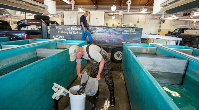 Man in overalls empties a net of fish into a white bucket at a fish hatchery, surrounded by teal tanks. Another person stands on a fish transport truck.